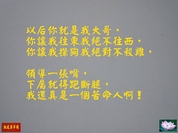 Photo Editor_53007.jpg