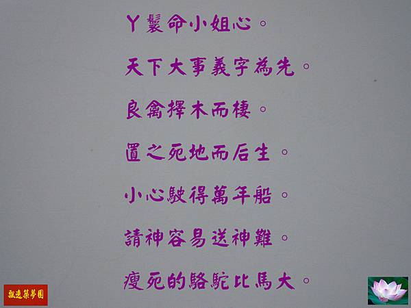 Photo Editor_83007.jpg