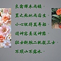Photo Editor_93007.jpg