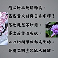 Photo Editor_23007.jpg