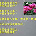 Photo Editor_63007.jpg