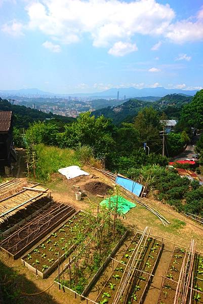 [貓空美食] 清泉山莊3人套餐，最推薦烏龍茶蛤蜊雞湯、涼筍