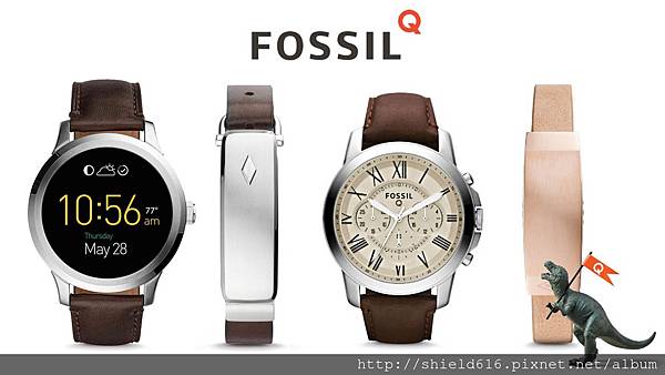 Fossil Q.jpg