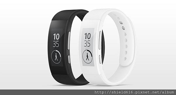 SmartBand Talk SWR30.jpg