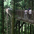 IMG_8659.JPG