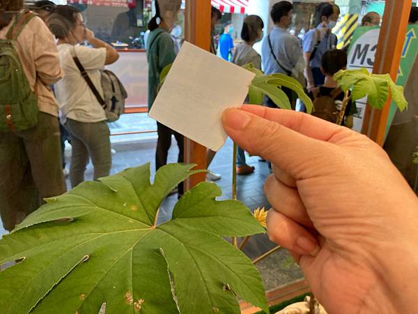 台灣設計展-舊城區_201003_37.jpg 台灣設計展-舊城區_201003_37.jpg