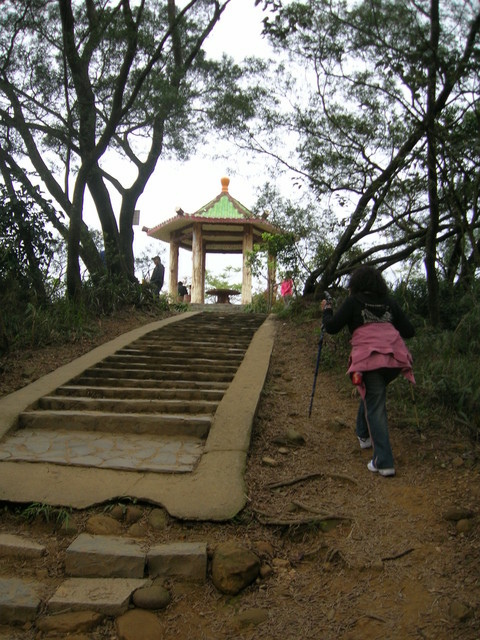 飛鳳山半日行