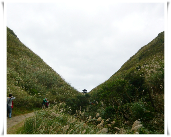 20111126草嶺古道132.jpg