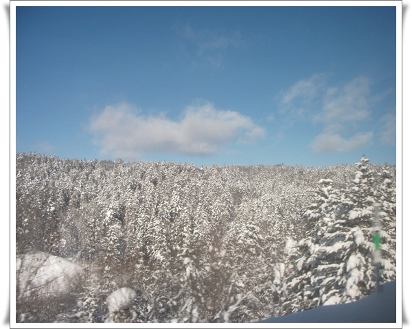 札幌小樽158.jpg