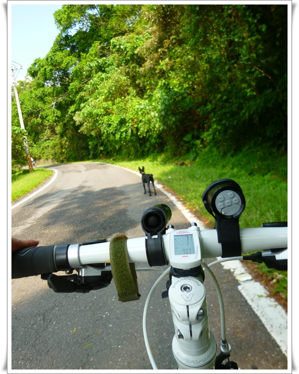 一個人的單車環島0376