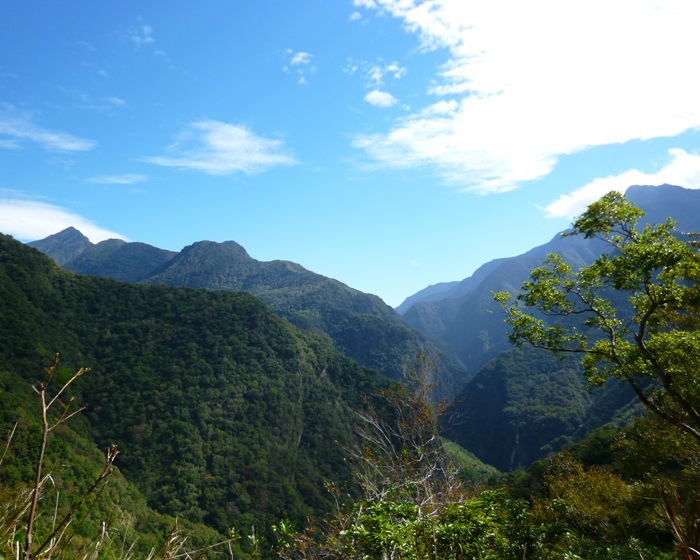 20131123-24 砂卡礑+綠水文山步道089.jpg