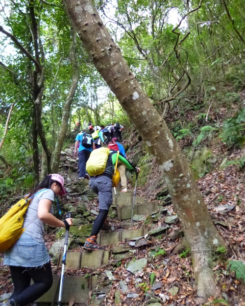 20131123-24 砂卡礑+綠水文山步道110.jpg