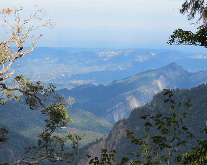 20131208 大雪山森林遊樂區 003.jpg