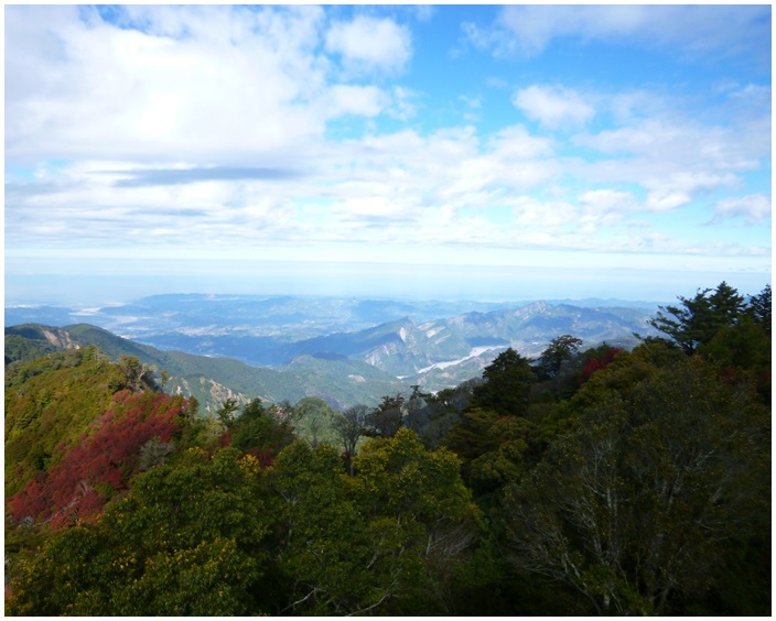 20131208 大雪山森林遊樂區 014.jpg