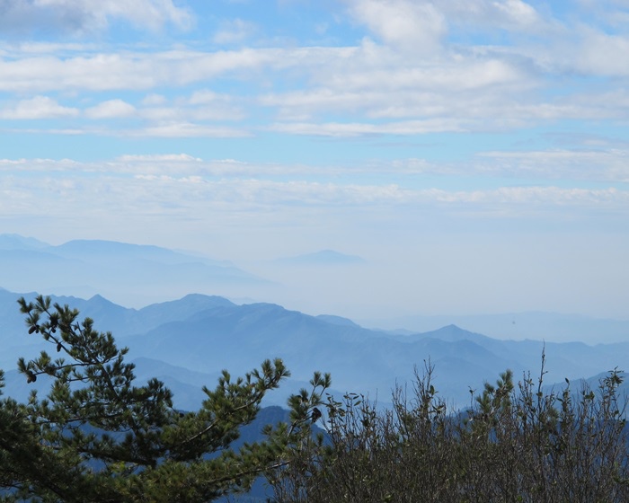 20131208 大雪山森林遊樂區 017.jpg