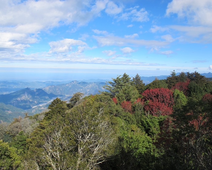 20131208 大雪山森林遊樂區 022.jpg