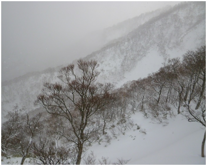 20131221-25苗場滑雪053.jpg