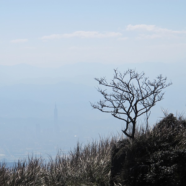 20140125 七星山 61