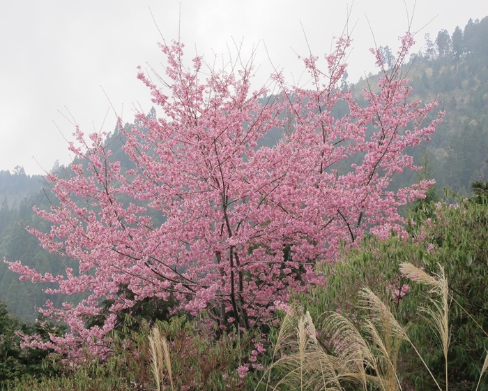 20140222 雪見 053.jpg