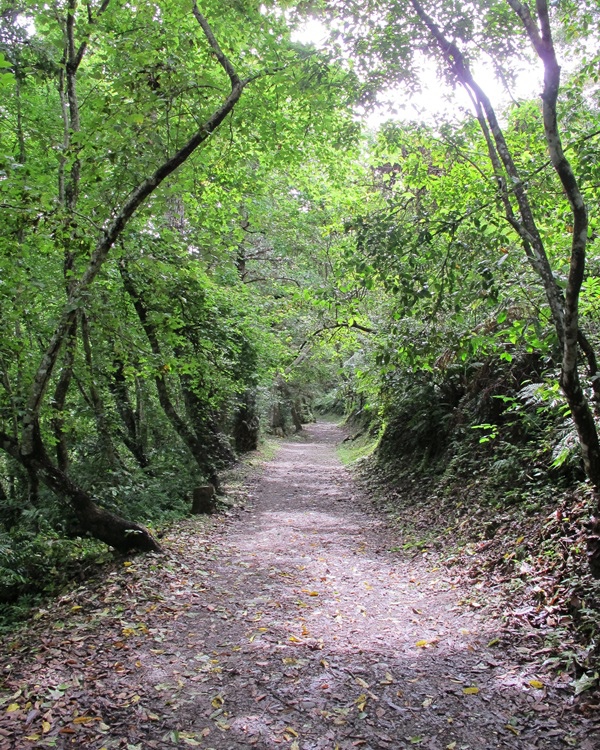 20140502-0504花東獨遊 024.jpg