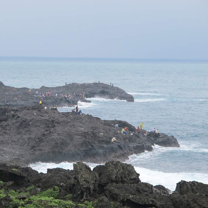 20140502-0504花東獨遊 153.jpg