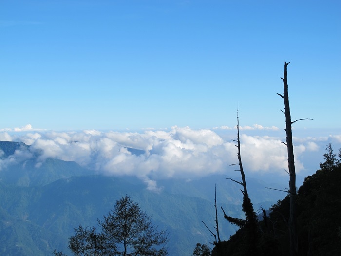 20140726-0727 望鄉-塔塔加-東埔山 091.jpg