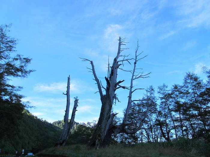 20140726-0727 望鄉-塔塔加-東埔山 093.jpg