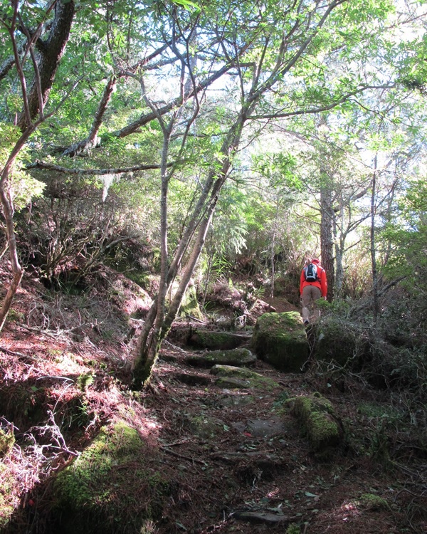 20140726-0727 望鄉-塔塔加-東埔山 094.jpg