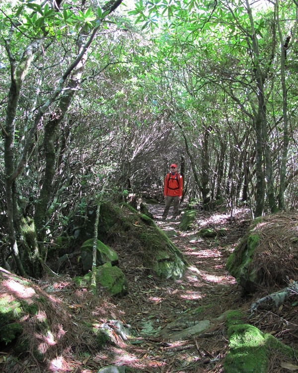 20140726-0727 望鄉-塔塔加-東埔山 095.jpg