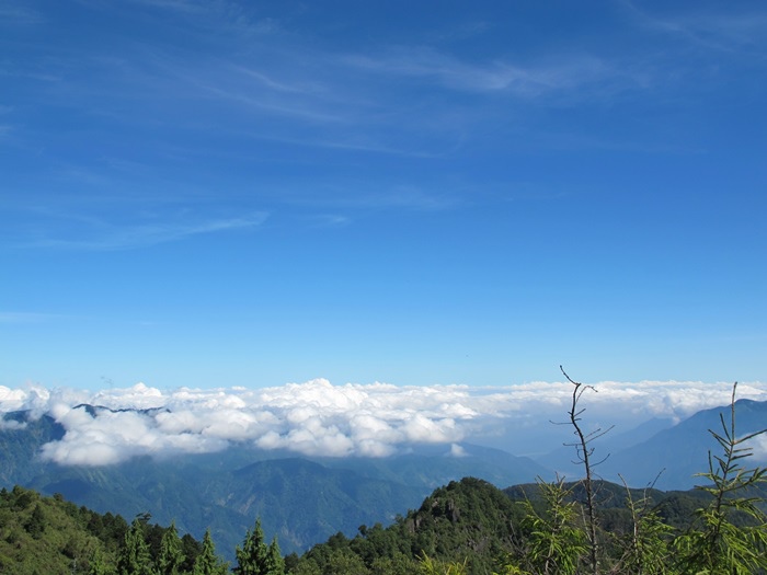 20140726-0727 望鄉-塔塔加-東埔山 111.jpg