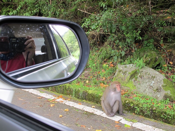 20140726-0727 望鄉-塔塔加-東埔山 120.jpg