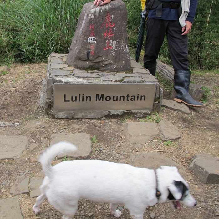 20140726-0727 望鄉-塔塔加-東埔山 143.jpg