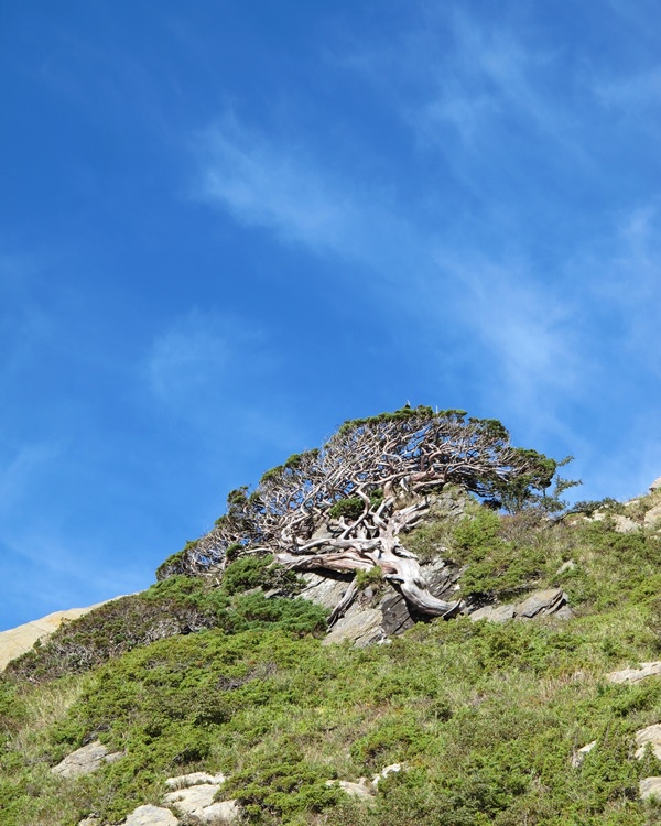 20140823-24 小溪營地 152.jpg