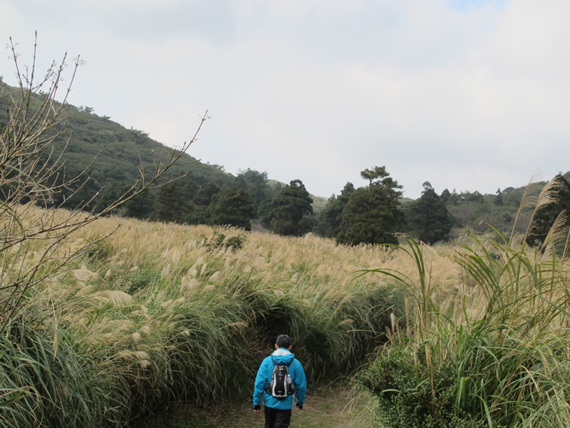 20150101  大屯山-二子坪 (75).JPG