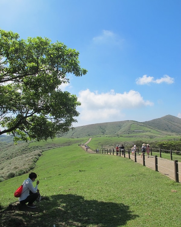 【陽明山】竹子湖、擎天崗、地熱谷