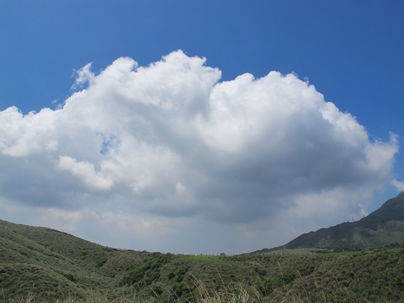 【陽明山】竹子湖、擎天崗、地熱谷