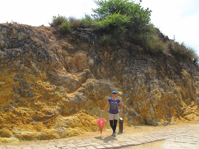 【陽明山】竹子湖、擎天崗、地熱谷