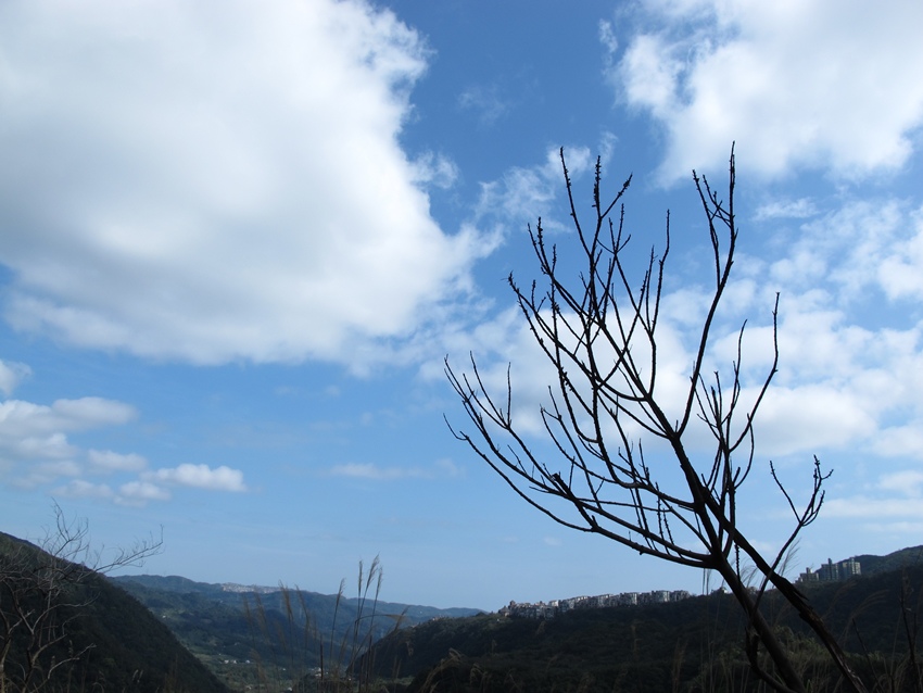 【陽明山】八煙聚落