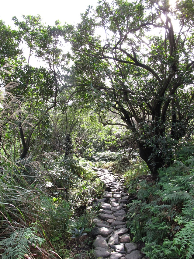 【陽明山】八煙聚落