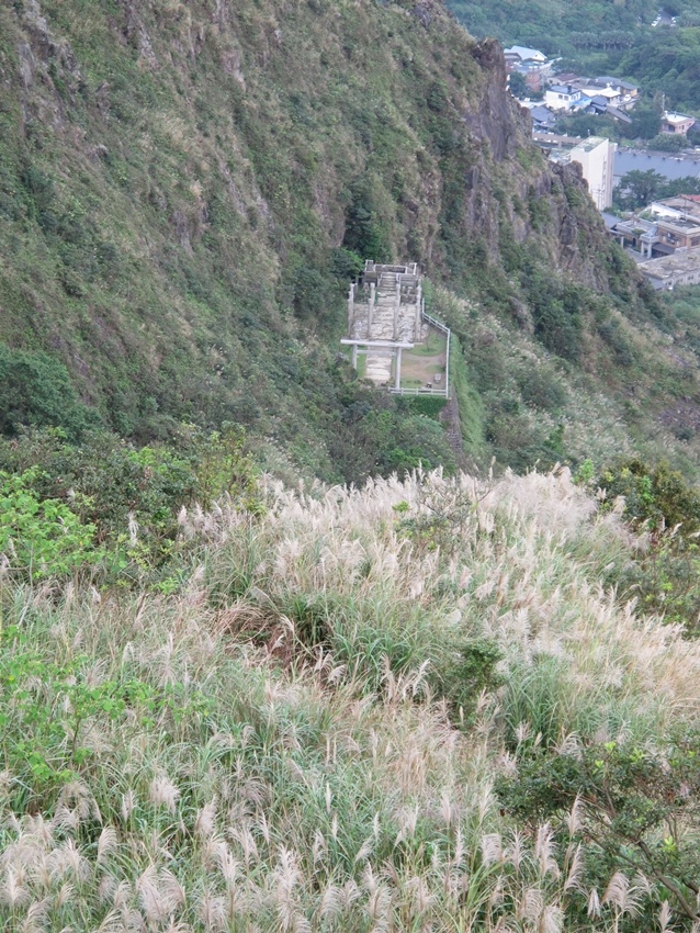 【新北】金瓜石地質步道、燦光寮山、小金瓜露頭步道賞芒