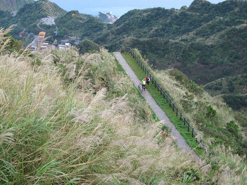 【新北】金瓜石地質步道、燦光寮山、小金瓜露頭步道賞芒