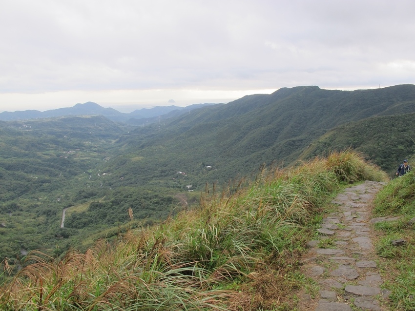 【陽明山】陽明山東段縱走 之 風櫃嘴、頂山、北五指山草原、石