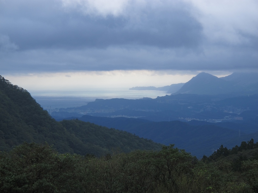 【陽明山】陽明山東段縱走 之 風櫃嘴、頂山、北五指山草原、石