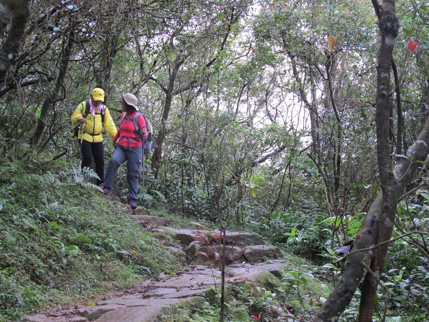 【陽明山】陽明山東段縱走 之 風櫃嘴、頂山、北五指山草原、石