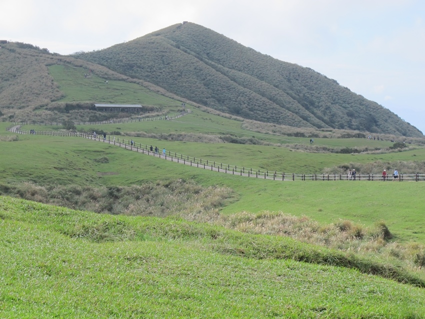 【陽明山】陽明山東段縱走 之 風櫃嘴、頂山、北五指山草原、石