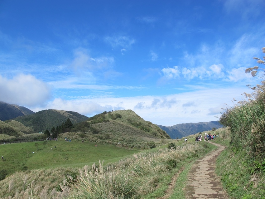 【陽明山】陽明山東段縱走 之 風櫃嘴、頂山、北五指山草原、石