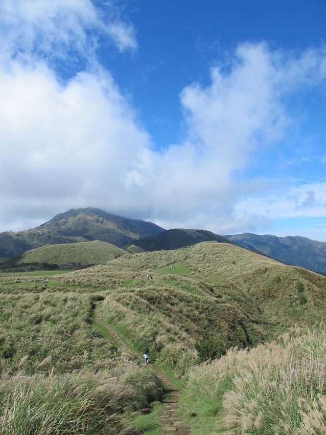 【陽明山】陽明山東段縱走 之 風櫃嘴、頂山、北五指山草原、石