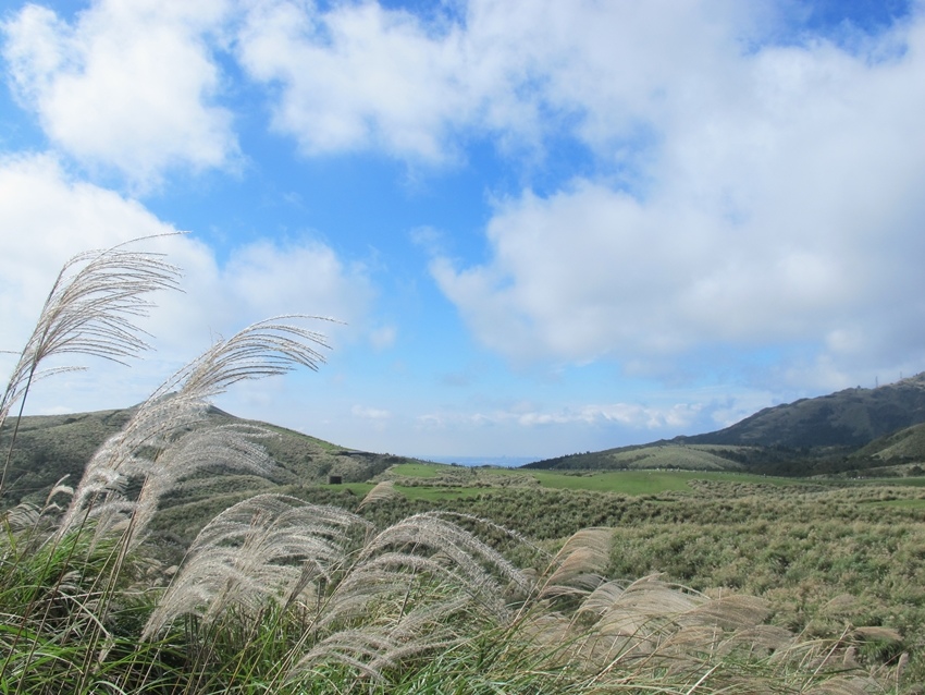 【陽明山】陽明山東段縱走 之 風櫃嘴、頂山、北五指山草原、石