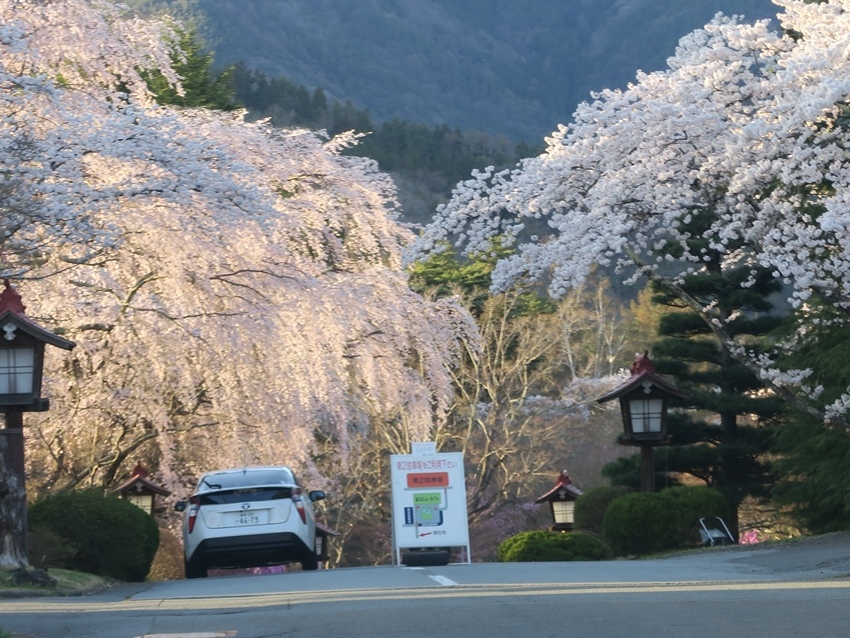 IMG_0491.JPG IMG_0491.JPG