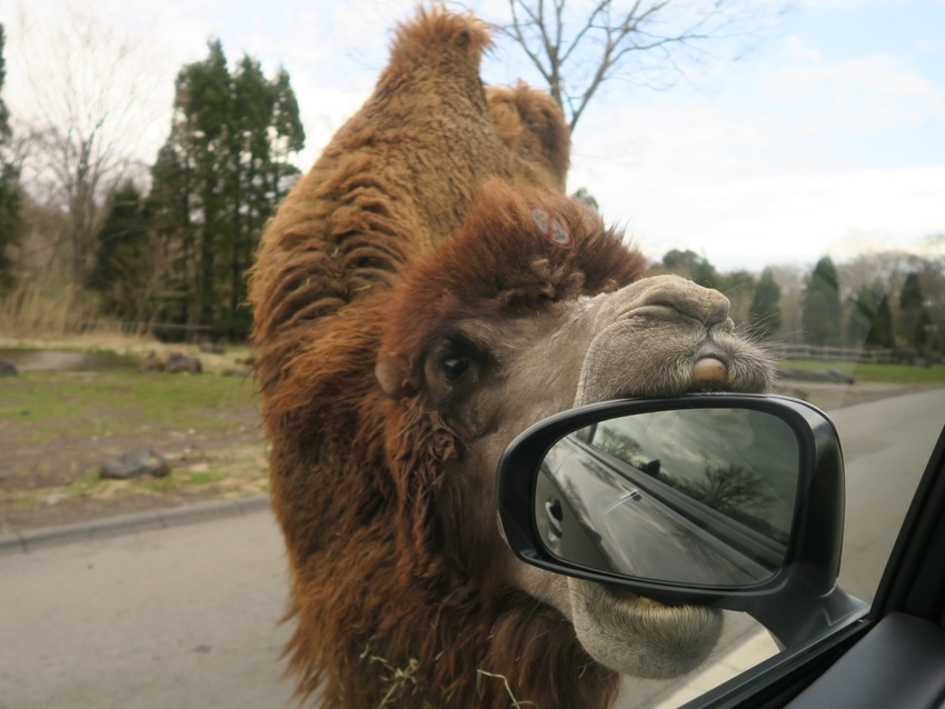 IMG_0375.JPG IMG_0375.JPG